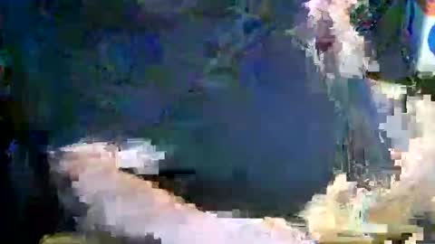 canoelicker69 online show from November 18, 8:55 pm