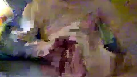 Captain 8 Inches online show from December 9, 5:24 pm