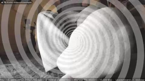 Master Grey online show from February 5, 10:00 am