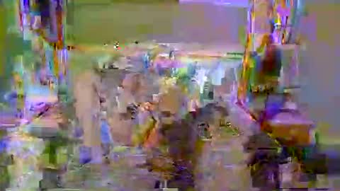 Catinsex online show from June 2, 10:22 pm