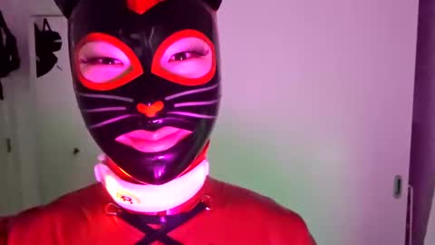 CatTailLove online show from March 5, 6:23 pm