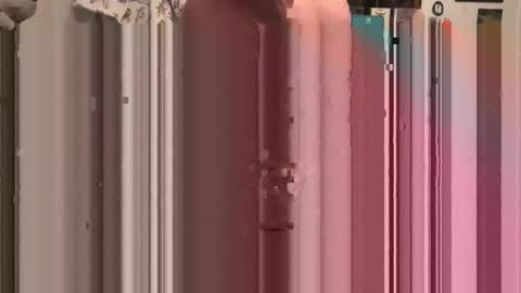 Chaz online show from November 3, 8:18 am