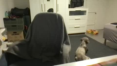 cheftoti online show from February 16, 7:05 pm