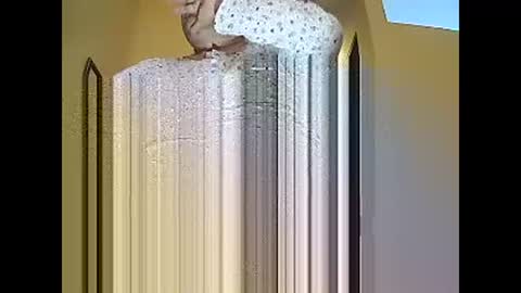 jorge online show from February 14, 12:47 pm