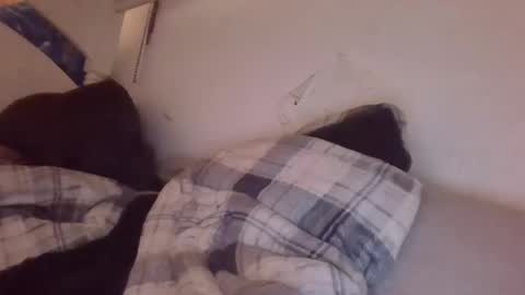 Snapshot of chrisyodaddy chatting on January 23, 11:59 pm CreepyCrawlyQueenIsmyfavstreamerbyfar online show from January 23, 11:59 pm