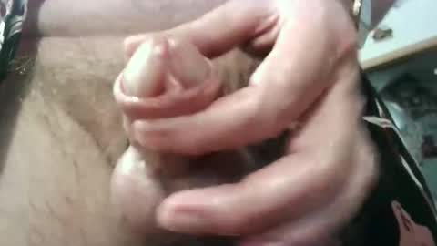 Circus Bear online show from October 28, 4:42 pm