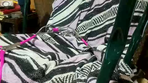 Clay online show from January 13, 10:58 pm