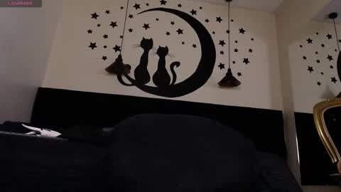 collinstone online show from November 24, 10:55 pm