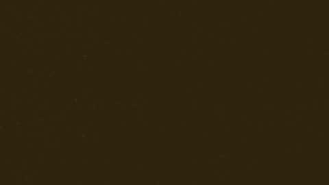 Snapshot of cookieforme chatting on October 29, 7:28 pm cookieforme online show from October 29, 7:28 pm