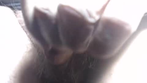 coopinthesouth54 online show from February 6, 8:17 pm