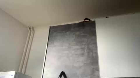 cp1a online show from March 12, 2:36 pm