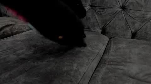 cristian_suarezz_ online show from October 6, 11:42 pm