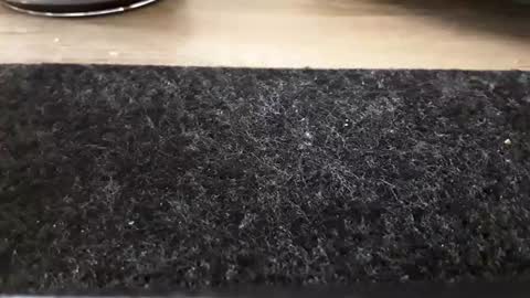 watch online show from February 26, 9:42 am