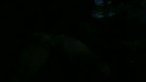 Snapshot of cunnibob chatting on January 20, 9:46 am cunnibob online show from January 20, 9:46 am