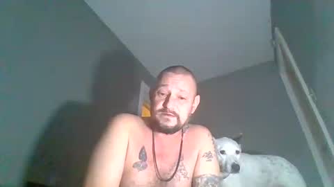 Bash online show from December 25, 6:09 am