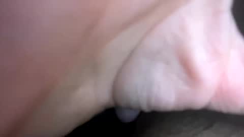 curvy24777 online show from January 30, 10:41 pm