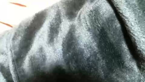 Snapshot of cutandwaxed2 chatting on March 5, 11:27 pm BI SMOOTH MATURE SUB online show from March 5, 11:27 pm