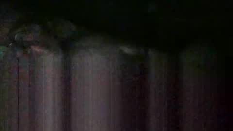 cwill27837 online show from February 22, 2:35 am