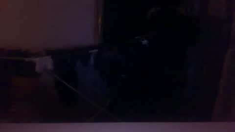 daddy20267 online show from December 21, 4:53 am