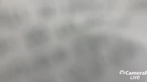 Tommy online show from November 2, 1:26 pm