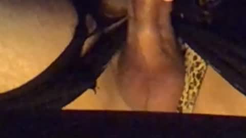 Snapshot of daddypervbuttprincess chatting on September 13, 2:51 pm daddypervbuttprincess online show from September 13, 2:51 pm