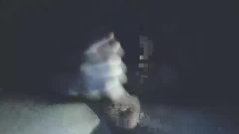 dane950804 online show from November 29, 12:45 am