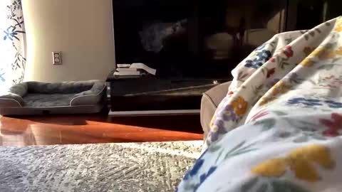 dannyboy621 online show from October 26, 1:24 pm