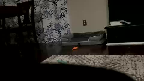 dannyboy621 online show from October 20, 9:46 am