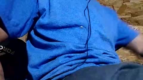 danpar5150 online show from March 14, 10:00 am