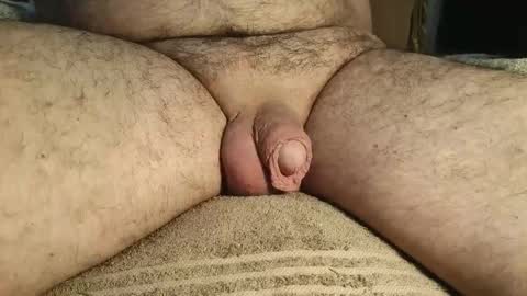 dapppper online show from January 23, 11:58 am