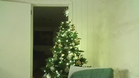 Snapshot of dartanjanas chatting on December 30, 5:44 pm Dario online show from December 30, 5:44 pm