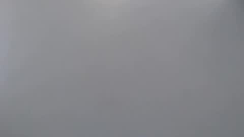 davdao3 online show from April 18, 11:00 am