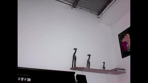 davidstuart online show from January 23, 7:07 pm