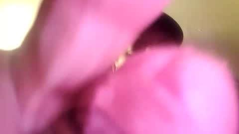 dazzaboxer online show from November 20, 2:00 am