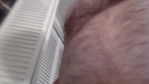 Snapshot of dcteamfucker chatting on January 17, 1:46 pm DCTeamFucker online show from January 17, 1:46 pm