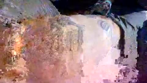 decoyx5o5 online show from March 7, 7:08 am