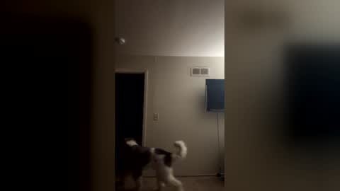 Nastytae313 online show from January 11, 7:17 pm