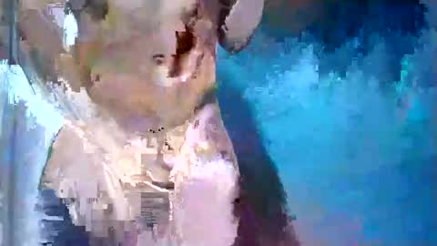 dick774369 online show from March 9, 11:59 am