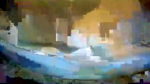 dickforyou333 online show from October 5, 5:22 am