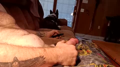 dickrambone78 online show from October 8, 3:16 pm