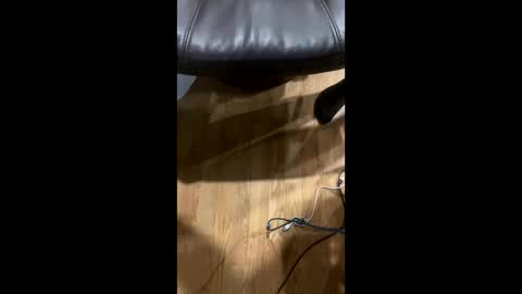 dickrb1984 online show from February 16, 10:43 pm