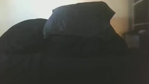 dickydo11 online show from January 19, 9:23 pm