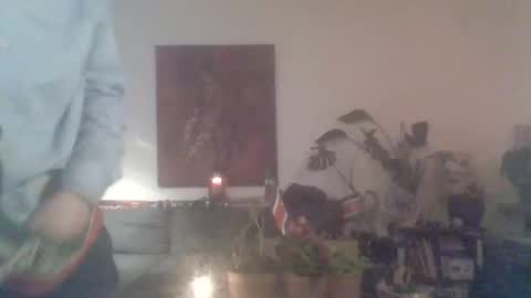 didierhobiecat16 online show from January 12, 7:56 am