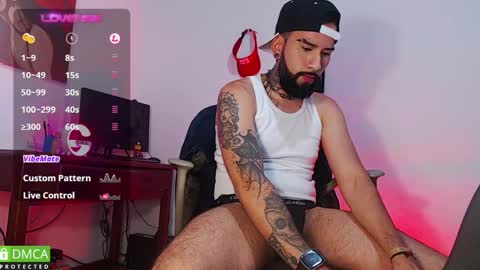  Dylan  online show from November 17, 3:31 am