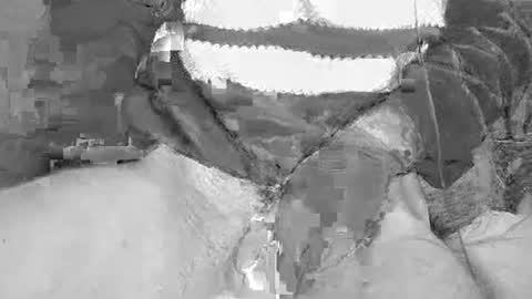 dimoni_ online show from April 17, 11:07 pm