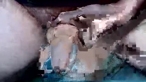 dirtyadventurer online show from December 15, 6:05 pm