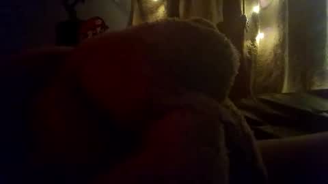 dixienormes online show from January 13, 7:32 am