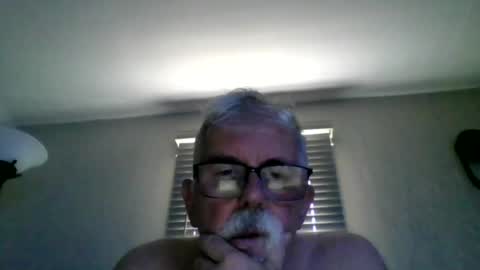 playful online show from July 16, 3:41 pm