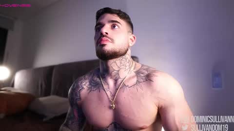 Dominic Sullivan online show from November 24, 2:34 am