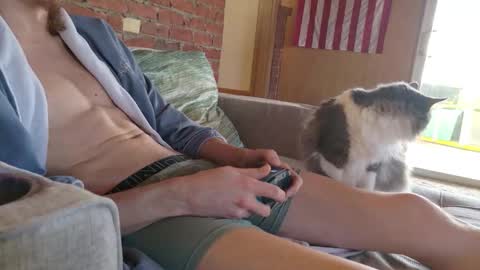 dommepleasemistress online show from February 21, 7:26 pm